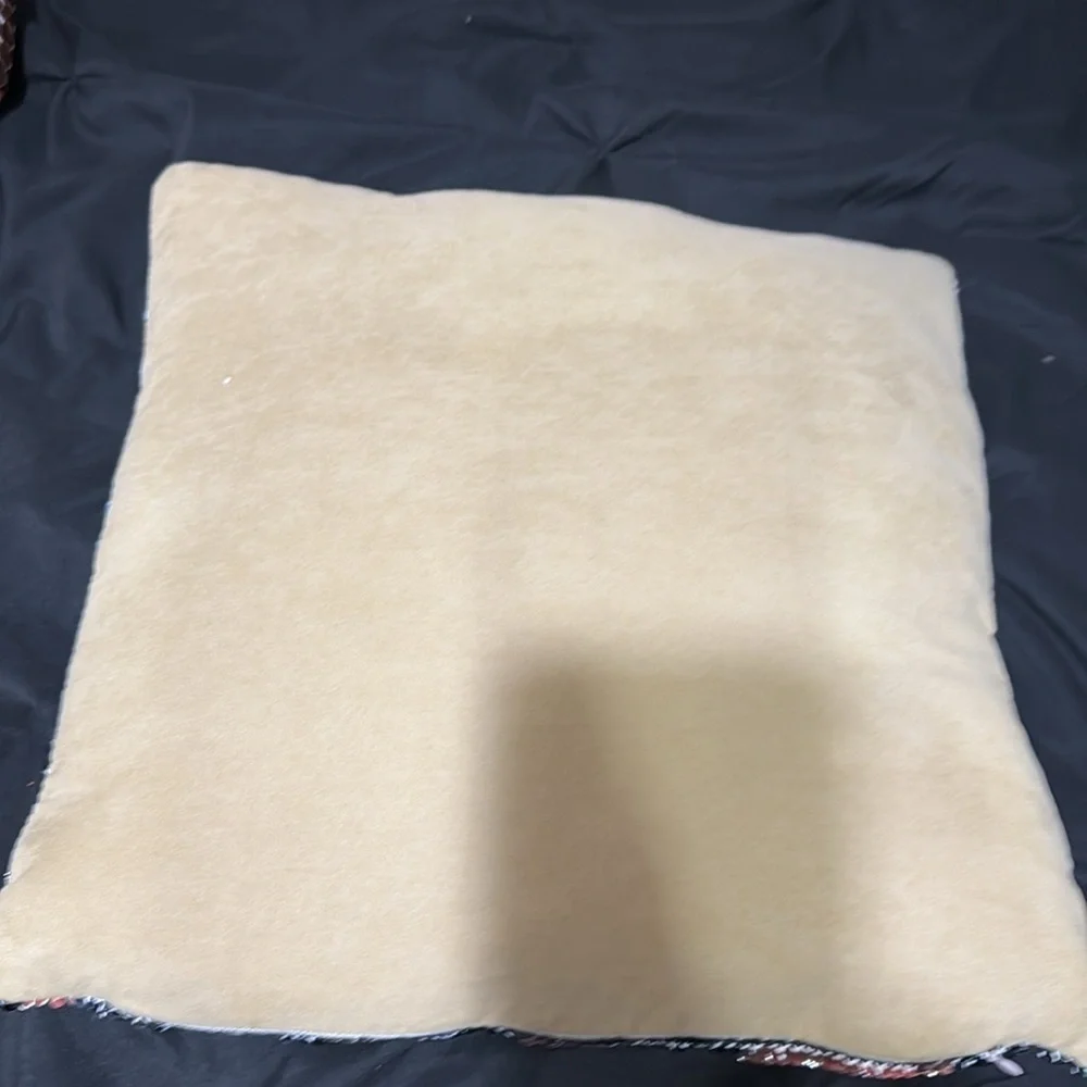 Harry Styles Sequin Pillow